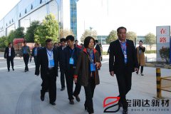 市人大常委會領(lǐng)導(dǎo)蒞臨寶潤達視察工業(yè)轉(zhuǎn)型工作