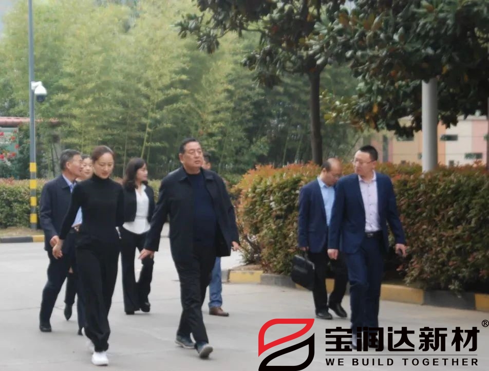 龍蟒佰利聯(lián)集團一行來訪寶潤達(dá)